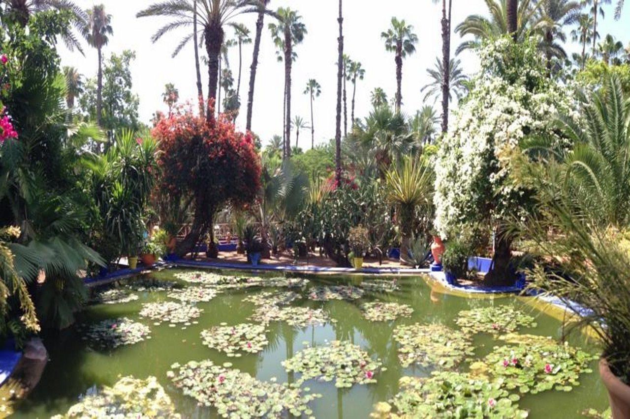 Riad Villa Harmonie Marraquexe Exterior foto